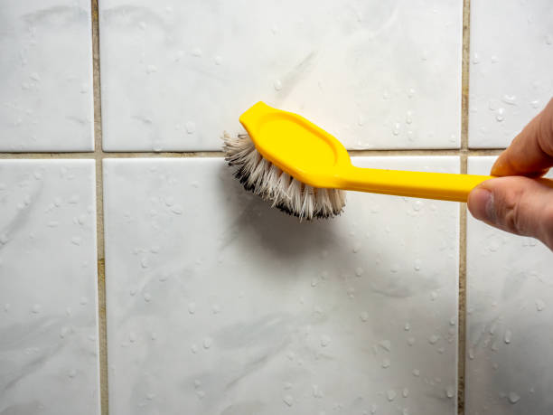 Mold Testing and Removal in Bradley, IL